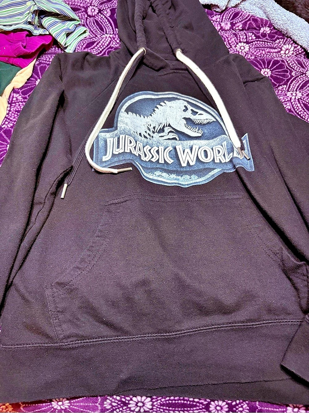 Universal Studios Jurassic World VelociCoaster Pullover Hoodie Boys XS Black &